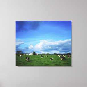 Holstein-Friesian Cattle near Thurles, Co Canvas Print
