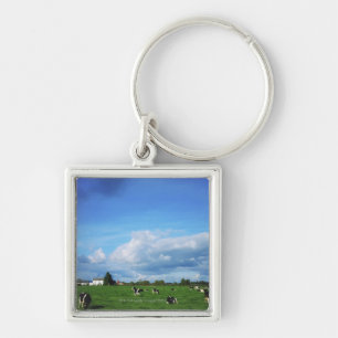 Holstein-Friesian Cattle near Thurles, Co Keychain