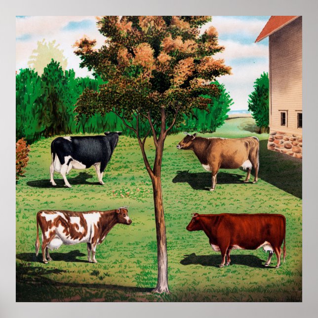 Holstein, Jersey, Ayrshire & Shorthorn cows Poster (Front)