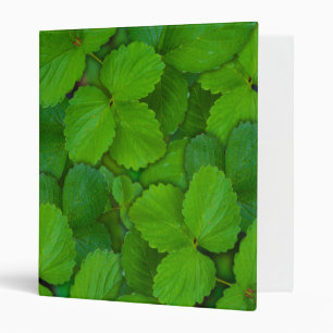 Holy Basil Tulsi Green Mint Leaves Binder