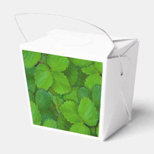 Holy Basil Tulsi Green Mint Leaves Favor Box