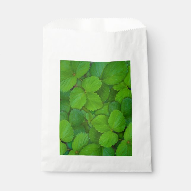 Holy Basil Tulsi Green Mint Leaves Favour Bag (Front)