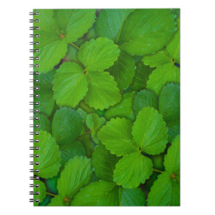 Holy Basil Tulsi Green Mint Leaves Notebook