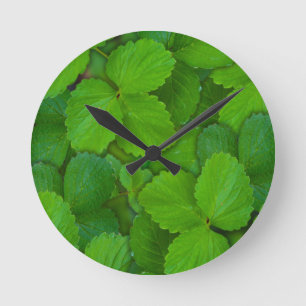 Holy Basil Tulsi Green Mint Leaves Round Clock