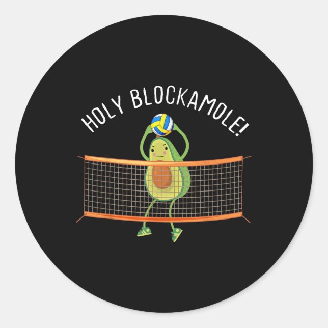 Holy Blockamole Volleyball Cute Fun  Classic Round Sticker (Front)