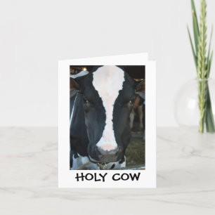Holy Cow Birthday Card