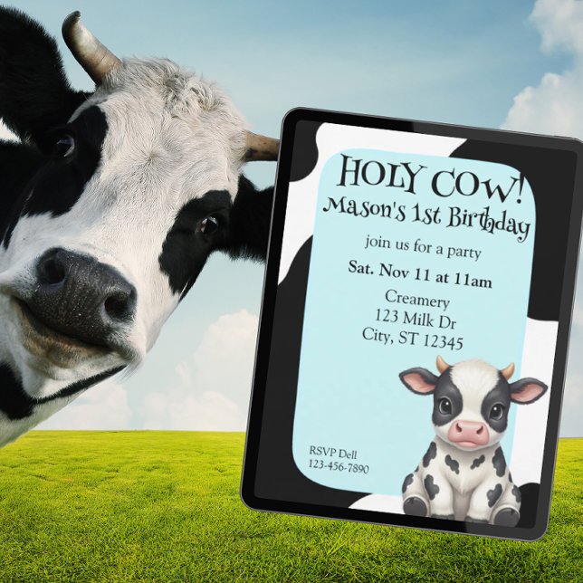 Holy Cow, blue, cow 1st Birthday Invitation (Creator Uploaded)