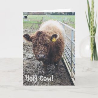 Holy Cow Card