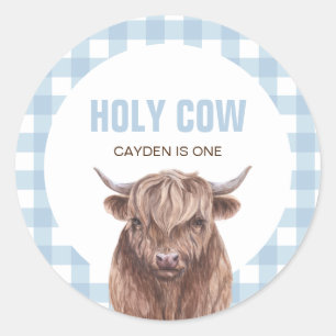 Holy Cow I'm One blue Plaid birthday Classic Round Classic Round Sticker