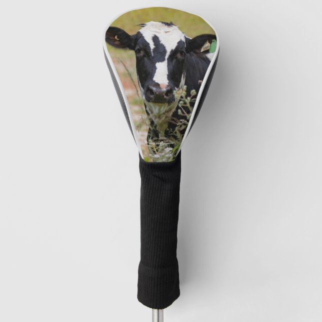 Holy Cow! It's a Holstein Friesian! Golf Head Cover (Front)