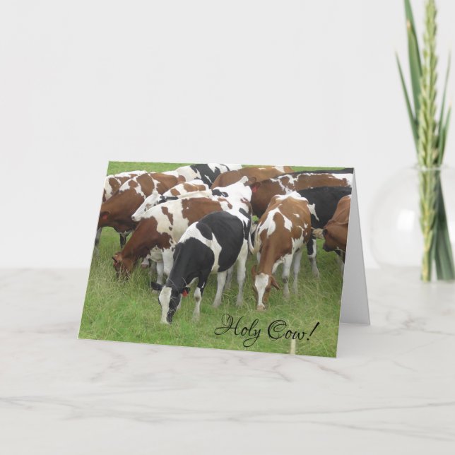 Holy Cow It's Your Birthday  Card (Front)