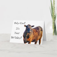 Holy Cow It's Your Birthday! Funny Animal