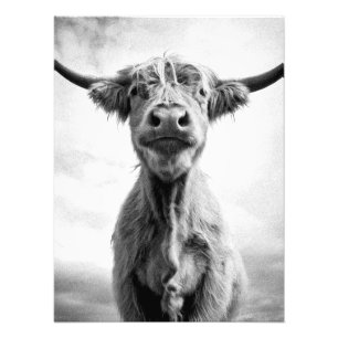 Holy Cow Mesotint Style Art Photography Photo Print
