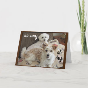 HOLY COW SAY THE PUPS "YOU ARE TURNING 60" CARD