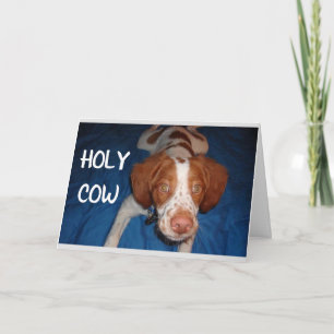 HOLY COW SAYS PUP "YOU ARE TURNING 70" CARD