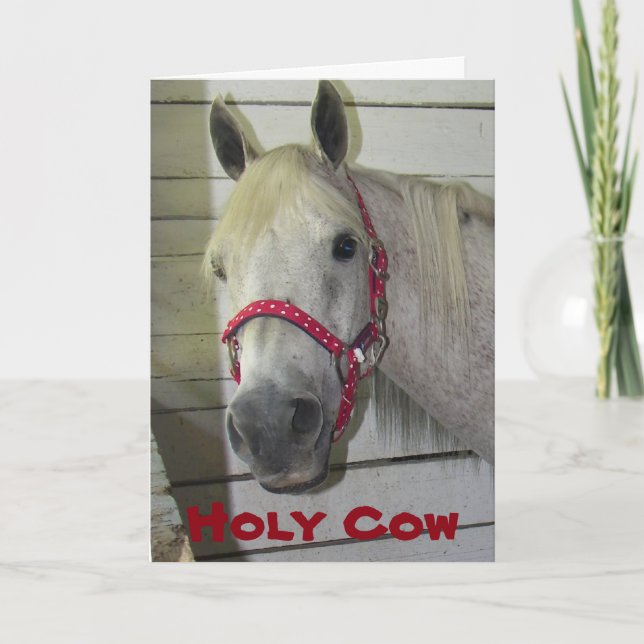 HOLY COW YOUNG FILLY HAPPY BIRTHDAY-ADULT BIRTHDAY CARD (Front)