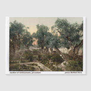Holy Land Magnet: Garden of Gethesmane