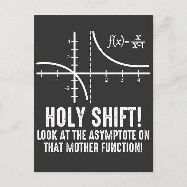 Holy Shift Look At Asymptote On That Function Postcard (Front)