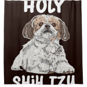 Holy Shih Tzu Cute Shih Tzu