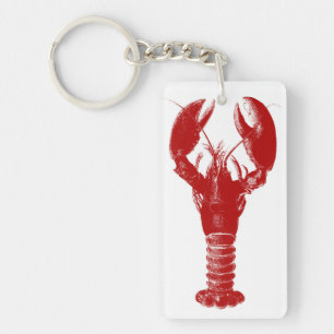 Homard rouge profond sur blanc
