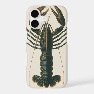 Homard vintage, Marine Ocean Life Crustacean
