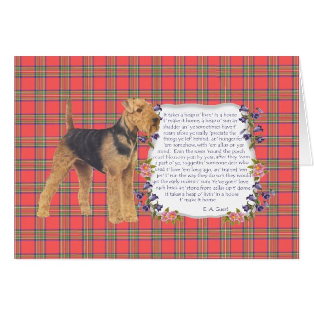 Home Airedale - Welsh - Lakeland (Front Horizontal)