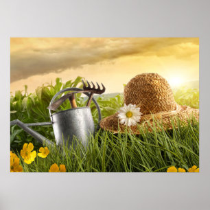 Home and Business Art Decor