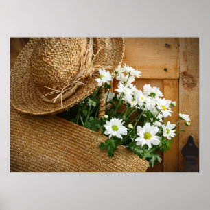 Home and Business Art Decor- Straw Hat Series Poster