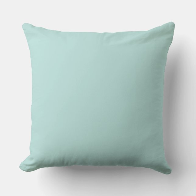 Home Decor Accents Aqua Throw Pillow (Front)