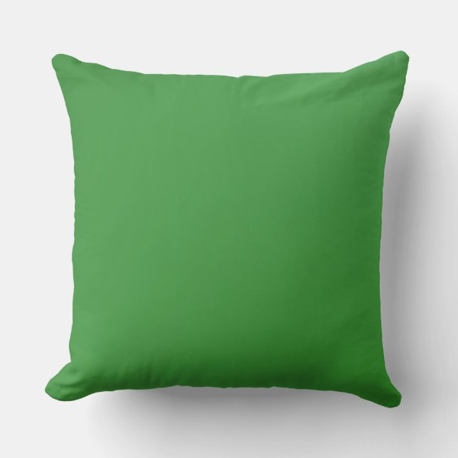 Home Decor Accents Green Throw Pillow (Front)