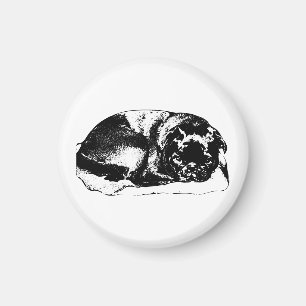 Home Feels Steady Magnet