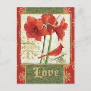 Home for Christmas Amaryllis Love Holiday Postcard