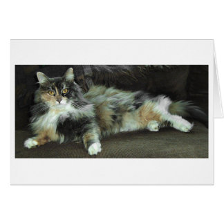 Home from the Hunt, Waiting for dinner