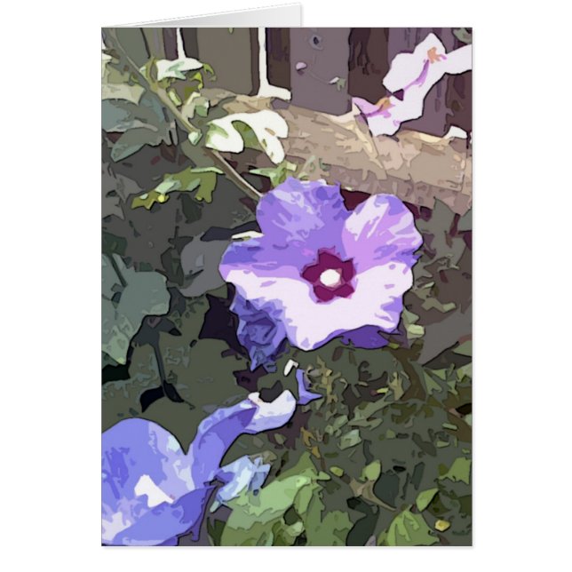 Home Grown 5 (Front)