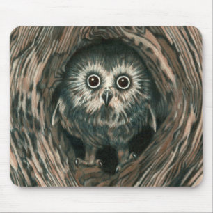 "Home In a Hole" Owl Mousepad