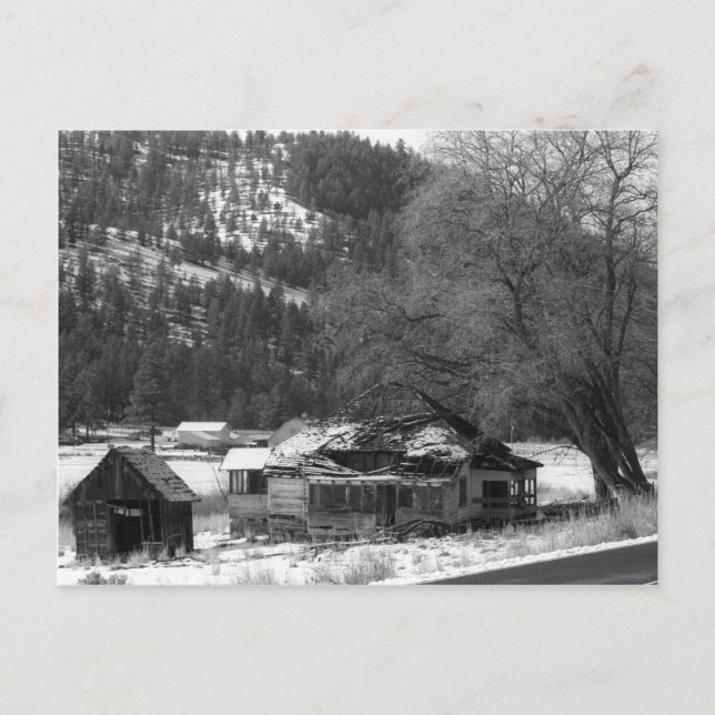 Home in the Ochocos Postcard (Front)