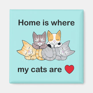 Home is where my cats are magnet turquoise