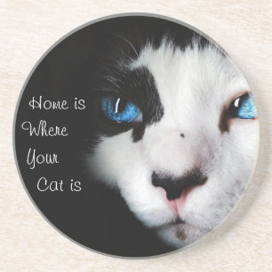 Home Is Where Your Cat Is -Black and White Coaster