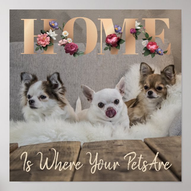 Home Is Where Your Pets Are Poster (Front)