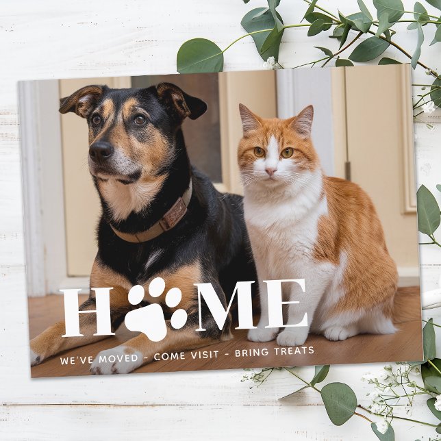 Home Modern Pet Photo We've Moved Dog Moving Announcement Postcard (Creator Uploaded)