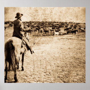 Home on the Range Poster