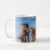 Home on the Range Wild Mustang