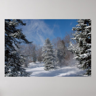 Home- Winter. print 04072