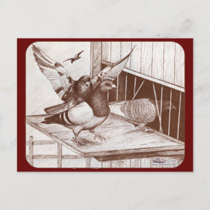 Homecoming Homers Postcard