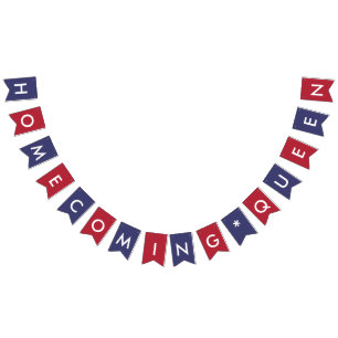 Homecoming Queen American Flag Colours Typography