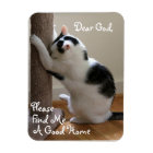 Homeless Cat's Prayer - Magnet