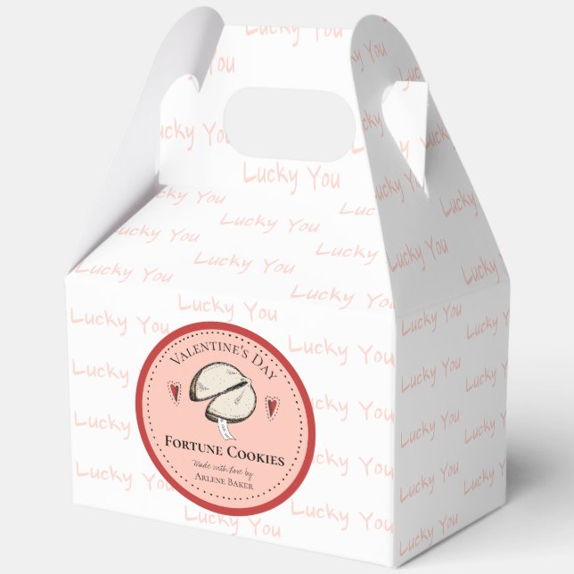 Homemade Fortune Cookie Valentine's Day DIY Boxes (Back)