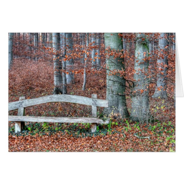 Homemade Park Bench (Front Horizontal)