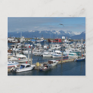 Homer Alaska Postcard