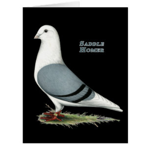 Homer Blue Saddle